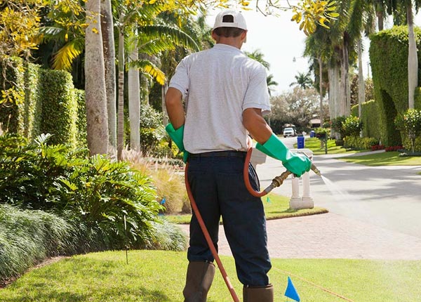 About Judson TX Pest Control